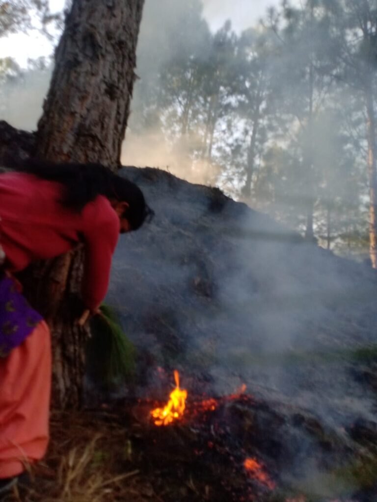 हवालबाग में साल की पहली आग, ग्रामीणों ने ताकत झोंक बुझाई आग…. लेकिन फिर ये हुआ….