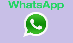 WhatsApp का New Year गिफ्ट, बिना इंटरनेट भी कर पाएंगे चैटिंग… ऐसे करें यूज!