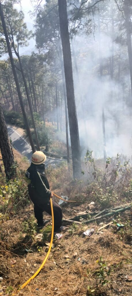 अल्मोड़ाः स्कूल के पास पहुंची जंगल की भीषण आग, मासूम छात्रों ने बुझाने का किया प्रयास…. फिर ये हुआ